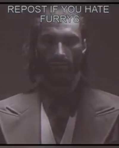 fuck furries