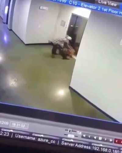 This guy saving this doggo
