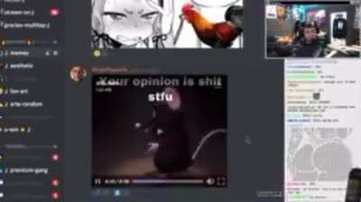 XD