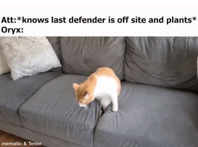 not on my watch