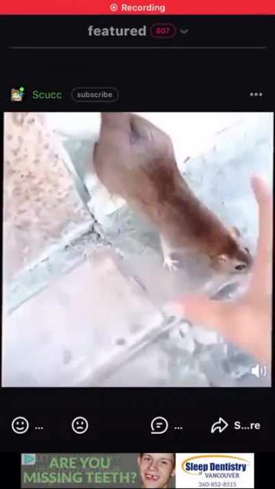Frien