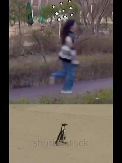 Run Mina Run!