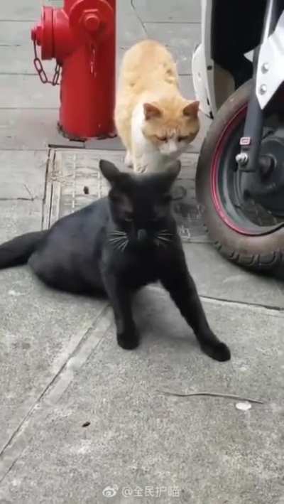 Wait, No It&rsquo;s Not What It Looks Like.