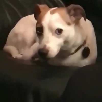 Wotsap?
