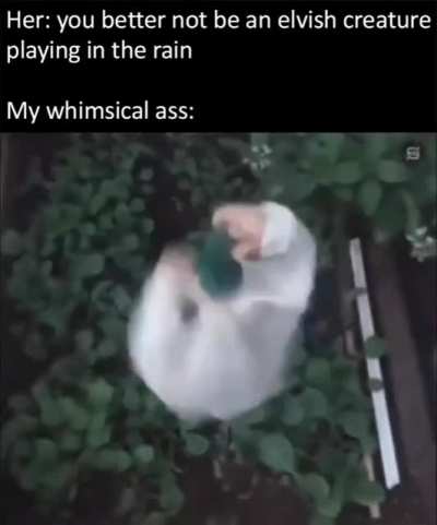 so whimsical
