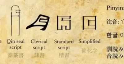 Chinsusese