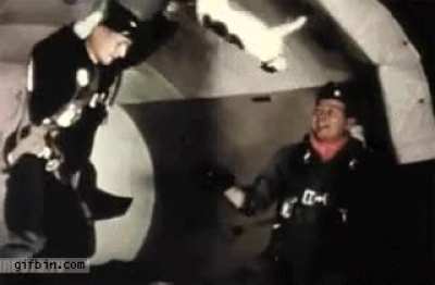 I&rsquo;m the 1960s scientists studied cats in zero gravity to help astronauts move in space