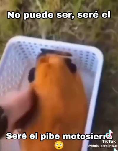pi