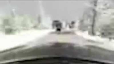 car crash