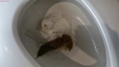 (F) HOT NEW SCAT VID JUST DROPPED! Titled: "Will Classy n Gassy cause a clog?" here is a free sample clip from our latest and greatest doubles pooping video! what do you think? will we need a plunger for our double decker poop??