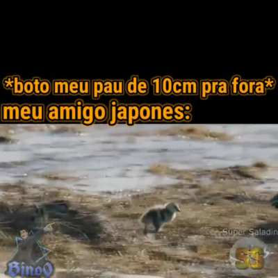Por isso eu quero ir pro Jap&atilde;o