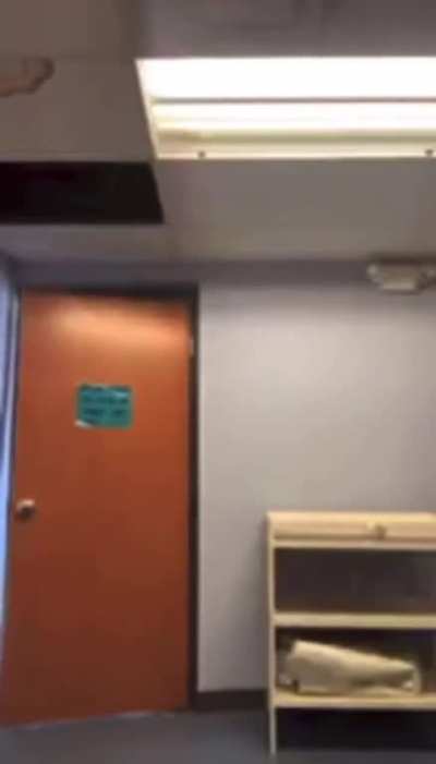 Girl starts a livestream to fight another girl while in Church