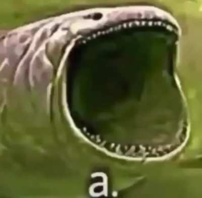 a