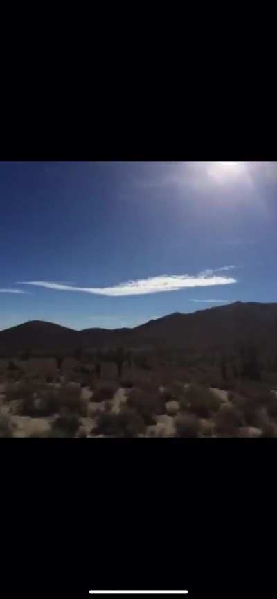 Shae Summers Vine, 1/25/2014