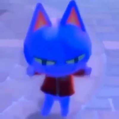 random cat dancing