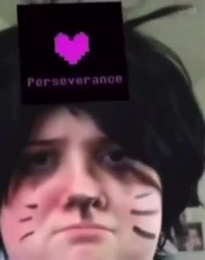 DID/OSDD fakers when their serial killer factive alter is fronting