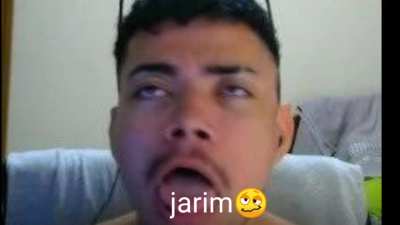 essa é a laudi