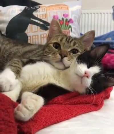 best couple ever!