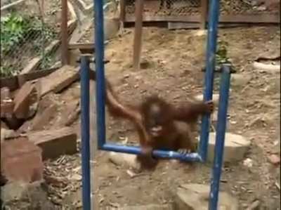 Coitado du magago 🐒🐒🐒🐒