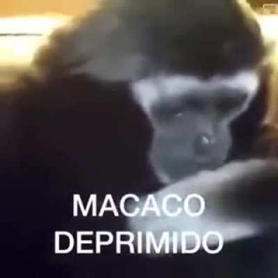 n sei se &eacute; repost, peguei do discord