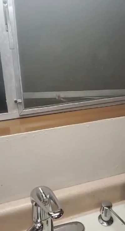 We meet again Spider man