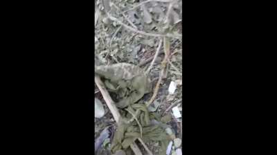 RU POV: Special Operations Unit "Arbat" aftermath of their assault on Ukrainian position in the Kursk region.