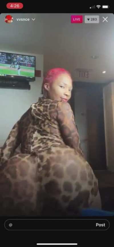 🐆🐆🐆