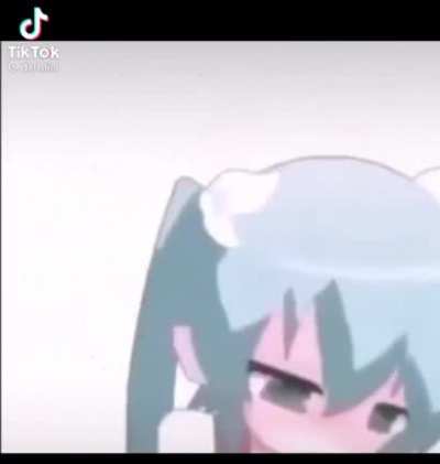 Sas