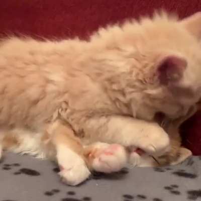 George gives an aggressive cleaning!