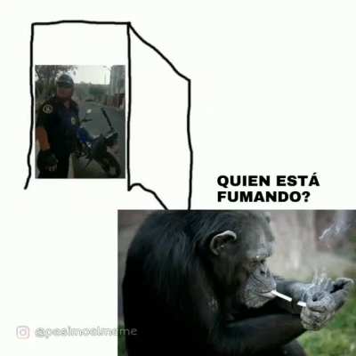 Mono juego ja