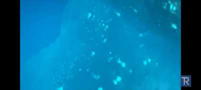 Guy drops iPhone into a hot spring and records absolutely chilling sounds. I felt sick the first time I heard it. 🔊🔊