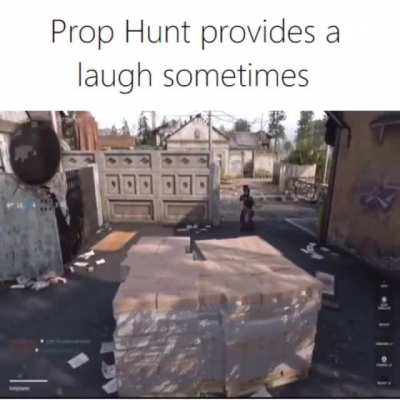 Prop Hunt