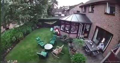 Relaxing in the garden