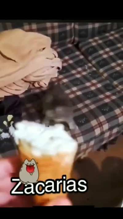 o legal &eacute; que os gato nem sente o gosto doce