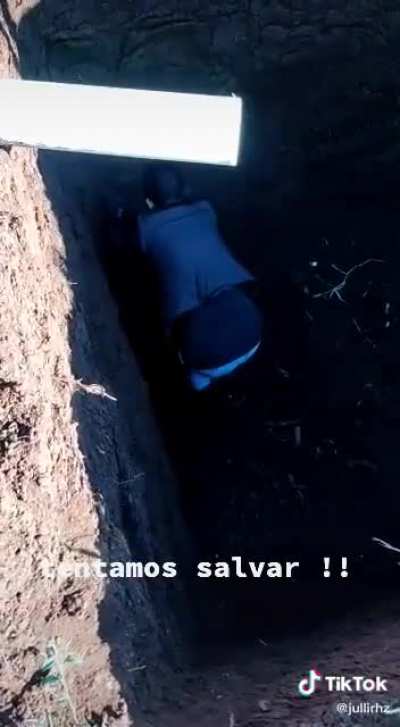 To free a rodent