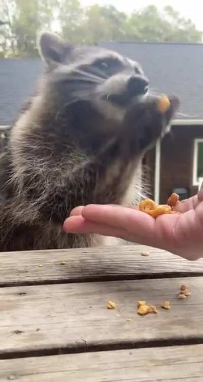 Since you guys liked my son Ricky so much, I figured it was my duty to share some more lil grabbies for y&rsquo;all :)