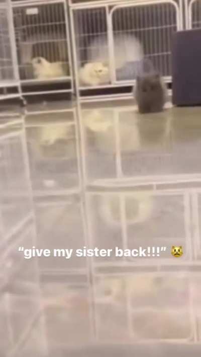 My sister! Noooo!