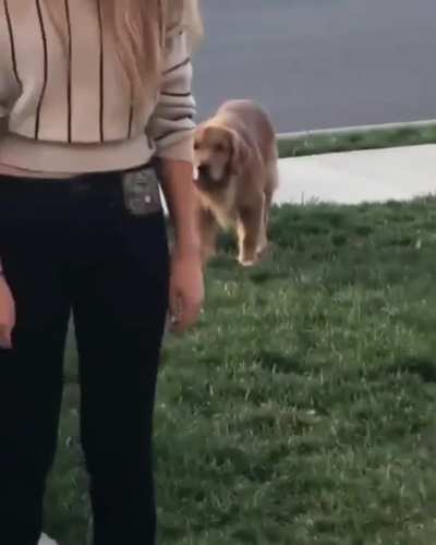 Pupper think he&rsquo;s sneaky