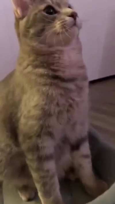 Kitdrick Lamar