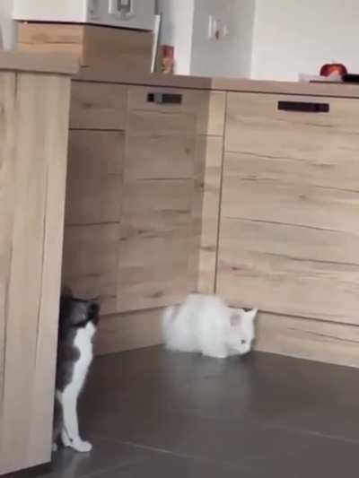 Absolutely boneless