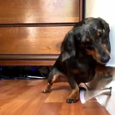 Perfectly Cut Sausage 2