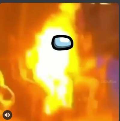 Sus