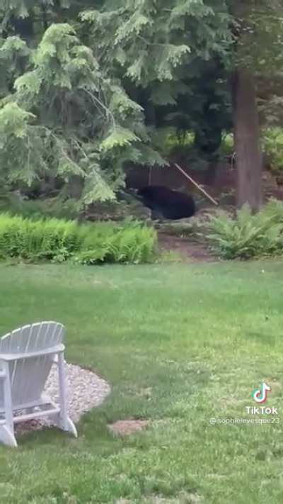 It&rsquo;s his hammock now