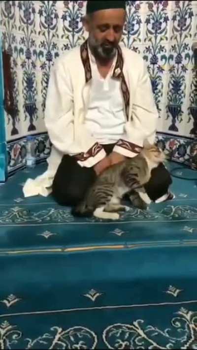 Cats are atheists.