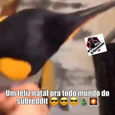 Feliz natal grupo 😎😎😎