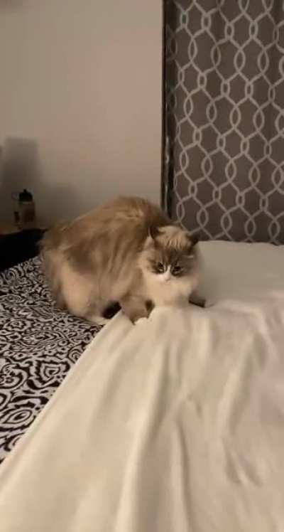 She&rsquo;s ferocious 😼