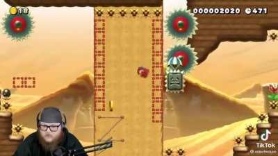 This level of Mario