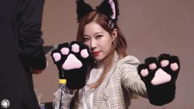 Catdong