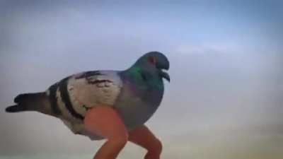 🐦