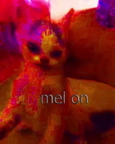 Mel on